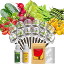 inbloom Fruit Seed Pod Kit for AeroGarden, iDOO, Ahopegarden, MUFGA Hydroponic Growing System, 12-Pod, 350+ Seeds Included Strawberry, Cucumber, Green Pepper, Golden Tomato, Radish, Dwarf Pea, Beet by GreenHaven Gardens