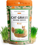 HOME GROWN 30,000+Cat Grass Seeds (6oz) 𝗡𝗢𝗡-𝗚𝗠𝗢 𝗨𝗦𝗔 Heirloom Barley & Oat Mix – Refill for Indoor Cat Grass Growing Kit – Safe Healthy Green Grass for Cats – Pet Grass for Eating & Digestion by GreenHaven Gardens