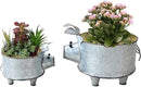 Galvanized Metal Pig Succulent Planter Farmhouse Pig Shaped Bowl Metal Pig Tray Rustic Decor Set of 2 by GreenHaven Gardens