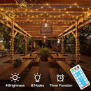 Solar String Lights Outdoor, 56FT 100LED Solar Lights with Remote, IP65 Waterproof, Solar Crystal Globe Patio Lights, 8 Light Modes, Timing, Christmas Decorations for Garden Yard by GreenHaven Gardens