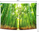 Delur Forest Pathway Tapestry Sunset Tropical Rainforest Nature Tree Tapestry Wall Hanging Sunrise Scenic Natural Green Landscape Headboard for Bedroom Living Room Home Decor (59.1" x 78.7") by CozyNest Decor