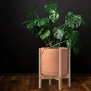 D'vine Dev Terracotta Planter with Natural Stand - 12 Inch Modern Round Flower Pot with Wood Planter Holder, Terracotta, 55-B-J-5 by CozyNest Decor