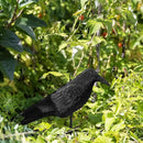 Navaris Crow Statues (Pack of 2) - Fake Black Crow Figure - Crows Bird Figures to Stand or Hang as Halloween Birds Decoration - Yard, Garden, Deck, Patio by GreenHaven Gardens