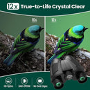 12x30 Compact Binoculars for Adults and Kids, High Power Lightweight Small Binoculars with Phone Adapter for Cruise Ship Hiking Bird Watching Sports Safari Viewing Football Sports Concert by TinyTreasures Baby Boutique