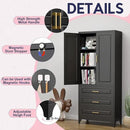 Pantry Kitchen Cabinet with Drawer, 75" Tall Pantry Storage Cabinet, Metal Storage Cabinets with Doors and Shelves, Large Freestanding Cupboard for Dining Room, Assembly Required, Black by CozyNest Decor