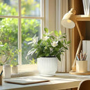 T4U 7 Inch Self Watering Pots for Indoor Plants, 4 Pack White Plastic Flower Pots for All House Plants, Flowers, African Violets by GreenHaven Gardens