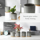 TAMAYKIM 4 Inch Cylinder Ceramic Plant Pots with Drainage Holes & Saucers, Glazed Green Grey Small Boho Planters with Trays for Indoor Flower, Snake Plants, Succulent, Cactus, Set of 4 by CozyNest Decor