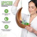 Gold Hanging Moon Planter – with Drain Holes - Moon Room Decor - Unique Planters for Succulents,Air Plant, Cactus, Artificial Plants- Plant Lover Gifts - Boho,Hippie, Birthdays,Witchy Gifts for Women by GreenHaven Gardens