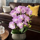 SJC Orchids Artificial Flowers with Gray Vase Purple Faux Orchid Phalaenopsis Arrangements for Kitchen Table Centerpiece Home Decoration Indoor(3.54" D x 7.87" W x 20" H) by CozyNest Decor