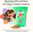 Grubblies - Black Soldier Fly Larvae for Chickens - Chicken Treats Grown in The US and Canada - for Strong Eggshells and Healthy Feathers - Grubblies Hometown Harvest 5LB by GreenHaven Gardens