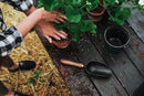 Barebones Garden Scoop - Garden Spoon - Stainless Steel Small Hand Shovel for Transplanting, Digging, and Planting - Great Home Gardening Hand Tools (Walnut/Black) by GreenHaven Gardens