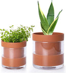 Phoenix Vine 4 Inch 6 Inch Self Watering Planter Pots, Terracotta Clay Pots with Glass Reservoir for Indoor Plants, Herbs, Flowers, 52-A-G-46 by GreenHaven Gardens