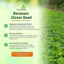 Outsidepride Annual Berseem Clover Seeds for Lawn - 10 lbs. High-Yield, Fast-Growing Clover Cover Crop Seeds for Food Plots, Cattle Forage & Nitrogen-Rich – Ideal for Pastures & Soil Improvement by GreenHaven Gardens
