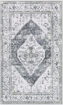 Lahome Boho Washable Rugs for Bedroom - 3x5 Area Rugs for Living Room Throw Non-Slip Thin Entryway Rug Kitchen Rugs Grey Oriental Distressed Print Capet for Office Bathroom Laundry Room Dining Room by TinyTreasures Baby Boutique