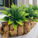Fake Plants Artificial Agave Plants,Large UV Resistant Fake Agave Planters for Indoor and Outdoor Decorating Tropical Plant Succulents Greenery Indoor Decor((2Pack Light Green) 13.8" by CozyNest Decor