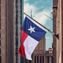 Texas State Flag 5x8 Ft, Deluxe Embroidered Heavy Duty Polyester Durable TX Outside Flags, Indoor/Outdoor, Sewn Stripes and Brass Grommets by GreenHaven Gardens