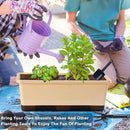 Window Box Planter 8 Pcs, 17 Inches Rectangle Flower Pots with Drainage Holes and Trays, Vegetable Planters for Windowsill Patio Garden Balcony Home Porch Yard Indoor Outdoor (Barley Yellow) by GreenHaven Gardens