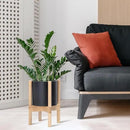 D'vine Dev Planter Pot with Stand - 8 Inch Plastic Cylinder Flower Pot with Wood Planter Holder for Indoor, Matte Black Pot + Natural Stand, 55-C-J-2 by GreenHaven Gardens