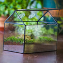 NCYP Glass Terrarium with Lid and Air Holes for Snails, Succulents Plants, Small Cactus - 10.2" x 5.9" x 8.2" House Shape Geometric Clear Box, Indoor Tabletop Decor Black (Terrarium Only) by CozyNest Decor