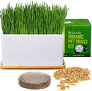 The Cat Ladies Organic Cat Grass Growing kit with Organic Seed Mix, Soil and Ceramic Planter with Bamboo Tray. Natural Hairball Control and Remedy for Cats by GreenHaven Gardens