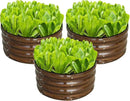 SnugNiture 3 Pcs 2x2x1ft Round Galvanized Raised Garden Bed Kit Outdoor, Metal Planter Box for Planting Plants Vegetables, Brown by GreenHaven Gardens