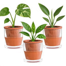 D'vine Dev 4 Inch Design Self Watering Pot for Indoor Plants, Terracotta Planter with Cylinder Glass Cup, Set of 3, 37-Z-A-1-T by GreenHaven Gardens