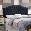 24KF Upholstered Button Tufted Queen Headboard with Nailhead Trim, Elegant Boucle Fabric Full headboard, 6031-Q-Boucle-Navy by CozyNest Decor