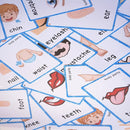SANTSUN 36 Pieces of My Body Parts Flash Cards for Toddlers- The Flash HolePunched- So You can sort and Organize The Cards Easily and Early Learning Kindergarten Teacher Tools by TinyTreasures Baby Boutique