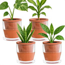 D'vine Dev 4 Inch Design Self Watering Pot for Indoor Plants, Terracotta Planter with Cylinder Glass Cup, Set of 4, 37-Z-A-1-F by GreenHaven Gardens