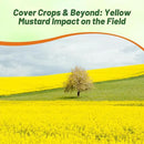 Outsidepride Yellow Mustard Seeds - 10000 Pcs Nutrient-Rich, Flavorful Annual Microgreen Seeds for Planting, Easy-to-Grow, Ideal for Indoor & Outdoor Cultivation, Soil & Hydroponic Systems