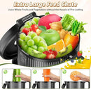 Cold Press Juicer, Juicer Machines with 5.4" Wide Feed Chute for Juice Extractor, Professional Slow Masticating Juicer for Whole Vegetables & Fruits with High Juice Yield, Easy to Clean (Black) by CozyNest Decor