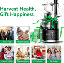 Aeitto Cold Press Juicer with Large Feed Chute, Large Capacity, Juicer Machines for Fruits and Vegetables, Slow Masticating Juicer Self Feeding, Easy to Clean, High Juice Yield by CozyNest Decor