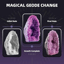 GobiDex Geodes Growing Science Kit for Kids Age 6-8-12, Geodes with Crystals Grow Fast in (24H), STEM Educational Science Experiments Toys, Geology & Rock Enthusiasts Collection, Gifts for Boys Girls by TinyTreasures Baby Boutique