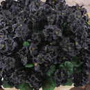 Hananona 12 Bundles Artificial Geranium Flowers for Outdoors Black Silk Geranium Flowers Outdoor UV Resistant Plants Faux Black Flower for Home Kitchen Halloween Table Centerpieces Decor (12, Black) by CozyNest Decor