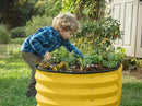 Galvanized Raised Garden Beds Outdoor // 4×2×1 ft Planter Raised Beds for Gardening, Vegetables, Flowers (Yellow) // Large Metal Garden Box by GreenHaven Gardens