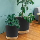 QCQHDU 12 inch Plant Pot, 2 Pack Planters for Indoor Plants with Drainage Holes & Saucer, Outdoor Flower Pots Home Garden Modern Decor by GreenHaven Gardens