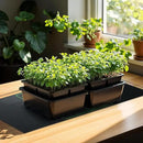 iPower Durable Seedling Heat Mat Warm 48" x 20" - 2 Pack Hydroponic Heating Pad Waterproof for Seed Starting Greenhouse and Germination by GreenHaven Gardens