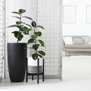 D'vine Dev Ceramic Planter with Ebony Stand - 10 Inch Modern Round Flower Pot with Wood Planter Holder, White/Grey, 55-B-L-6 by CozyNest Decor