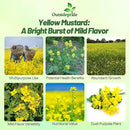 Outsidepride Yellow Mustard Seeds - 5000 Pcs Nutrient-Rich, Flavorful Annual Microgreen Seeds for Planting, Easy-to-Grow, Ideal for Indoor & Outdoor Cultivation, Soil & Hydroponic Systems by GreenHaven Gardens