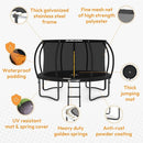 JUMPZYLLA Trampoline Outdoor 8FT 10FT 12FT 14FT 15FT 16FT with Enclosure and Ladder, ASTM Approved Recreational Trampoline for Kids and Adults, Anti-Rust Coated Frame by TinyTreasures Baby Boutique