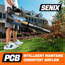 SENIX 20V Max Leaf Blower, Cordless, Brushless, Handheld, Up to 350 CFM and 80 MPH, 2 Speed Mode, Cruise Control, Lightweight, Tool Only, Battery and Charger Not Included(BLAX2-M-0) by GreenHaven Gardens