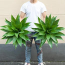 Artificial Agave Plants,Large UV Resistant Fake Agave Planters for Indoor and Outdoor Decorating Plantas Artificiales Decorativas Grandes(2Pack, 28") by GreenHaven Gardens