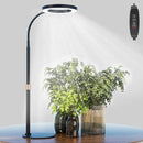 Grow Light, LED Plant Light for Indoor Plants Growing, Full Spectrum Desk Grow Lamp with Pedestal, Automatic Timer for 3H/9H/12H, 10 Dimmable Levels, Height Adjustable by GreenHaven Gardens