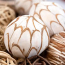 ANDALUCA Decorative Balls Bag Bowl Filler Home Decor (Beige) by CozyNest Decor
