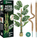 2 Pack 63'' Bendable Moss Pole Monstera Plant Support for Climbing Indoor Plants - Stakes for Potted Climbers - Tall Sticks Indoor Trellis for Houseplants - Accessories for Monstera Pot by GreenHaven Gardens