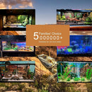 Aquarium Background Exquisite Underwater Grass Leaves with Pebbles Aquarium Backdrop Vivid Green Aquatic Plant Stone with Dead Woods and Fresh Leaves Fish Tank Wallpaper 72x24in by GreenHaven Gardens