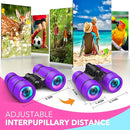 Girls Toys Age 3-7: LET'S GO! Compact Bird Watching Binoculars for Kids Ages 3 4 5 6 7 Year Old Girl Boy Gifts Idea Outside Travel Educational Toy for Kid Preschool Toddler Easter Stuffers by TinyTreasures Baby Boutique