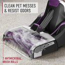 Hoover SmartWash Pet Automatic Carpet Cleaner Machine with Spot Chaser Wand, Deep Cleaning Carpet Shampooer Machine, Pair with a Hoover Carpet Cleaner Solution for a Bright, Refreshed Home by CozyNest Decor