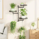 OVICAR Rotating Window Plant Shelves - Indoor Wall Plant Stand 3-Tier Floral Metal Window Shelf Holder for Multiple Plants with Hanging Hooks Home Decor Black by GreenHaven Gardens