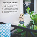 Galashield Owl Decoy | Plastic Fake Owls | Owl Statue for Garden & Outdoors [Set of 3] by GreenHaven Gardens
